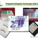 Plastic/wooden Microscope Prepared Slide Box for Biology Teaching Purpose