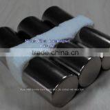 D25X10MM Big Cylinder Magnet