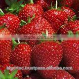 DELICIOUS Red STRAWBERRY FROM EGYPT thumbnail-3