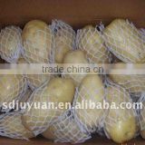 China fresh potatoes