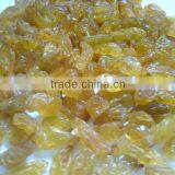 Fresh Dried Black Raisin thumbnail-2