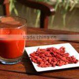 Goji Concentrated Juice Wholesaler thumbnail-1