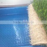 Hydroponic Animal Fodder Sprouting Machine for Growing Barley Grass,green Grass Fodder thumbnail-2