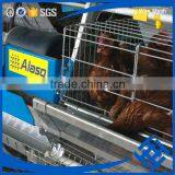 Wholesale Chicken Cage H Type Best Price Poultry Farm Egg Layer thumbnail-3