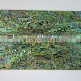 Thick Multilayers Abalone Paua Veneer