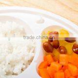 the Truth Why Plastic Food Container With Divider 3 Compartment thumbnail-4