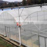 Hot Sale Multi Span Plastic Covered Fan Greenhouse thumbnail-2
