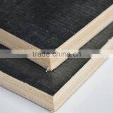 Black Film Faced Plywood, Waterproof Film Faced Plywood Sheets thumbnail-1