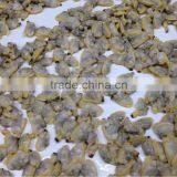 Frozen Boiled Baby Clam Meat thumbnail-2