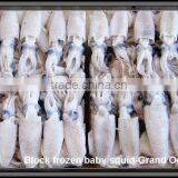 Hot Sale Whole Round Frozen Baby Squid thumbnail-2