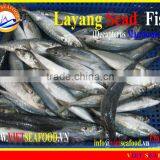 FROZEN LAYANG SCAD WHOLE ROUND thumbnail-1