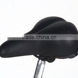 Baogl 36V250W Folding Electric Bike With 8FUN Gearless Hub With LCD Display thumbnail-6