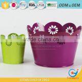 Garden Iron and Zinc Powder Coated Flower Display Buckets Metal Florist Buckets thumbnail-3