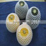 EPE Plastic Protection Apple Foam Packing Net thumbnail-3