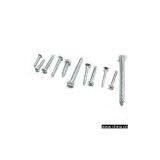 Self Tapping Screws thumbnail-1