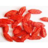 Wolfberry,goji Berries thumbnail-1