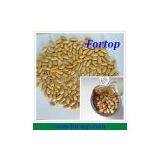 Canned Fried and Salted Peanuts