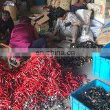 Extinguisher Part/extinguisher Accessory/extinguisher Horn thumbnail-5