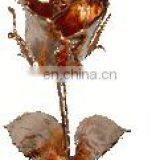Copper Plated Natural Rose thumbnail-1