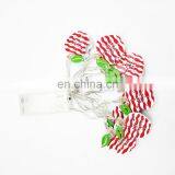 Best Selling Home Decoration Led Fairy String Light 10L Metal Apple String Light thumbnail-4