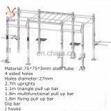 Gym Equipment Jaula Crossfit Rig thumbnail-2