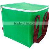 Cooler Bag thumbnail-1