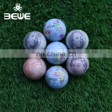 Wholesale OEM Printing Gift Item 2 Piece Coin Pattern Golf Ball
