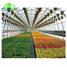 UV PE Greenhouse Film For Planting Tomatoes thumbnail-5