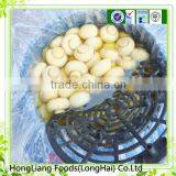 Whole Champignon Agaricus in Conserve thumbnail-1