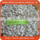 2016 Shine Skin PUMPKIN SEEDS