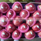 Huaniu Apples thumbnail-1