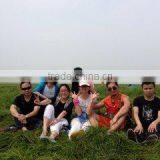 Shenzhen N-South Electronics Co., Ltd. company overview - view 3 thumbnail