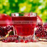 Home Kitchenware Collection New Large Manual Lever Juicer, Made of Heavy Cast Iron Steel Base and Stainless Steel Bowl, thumbnail-4