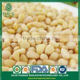 Wholesale Factory Direct Organic Korean Pine Nut Kernels thumbnail-4