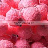 Sponge With Soap Dispenser