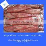 Seafood Frozen Whole Roune Red Squid