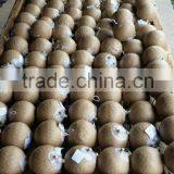 Pyrotechnics Shell Wrapping Machine+taping Machine for to 3-8 Inch Shells+fireworks Machine thumbnail-4