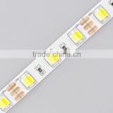 Warm white & cool white double chip in 1 led color tempreture adjustable led strip 5050