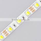 2015 Newest ! CCT Led Strip 5025 Warm White & Cool White Led Strip Lighting