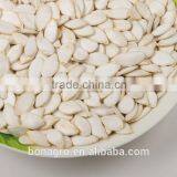 Chinese pumpkin seeds price, snow white