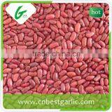 Small Red Kidney Beans Nutrition Facts thumbnail-1