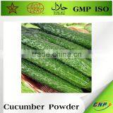 Natural Plant Extract Cucumber Extract thumbnail-1