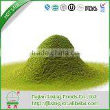 Fashionable best selling tea tree essential oil powder