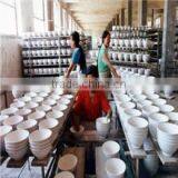 Qingdao Dora International Trade Co., Ltd. company overview - view 3 thumbnail