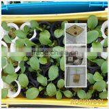 Super Agriculture Rock Wool for Planting 4x4x4cm