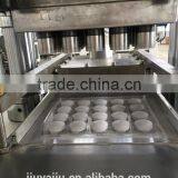 100 Ton Powder Forming Mahcine for Sale thumbnail-4