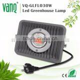 Led Cob Grow Light 30w Cob Led Epistar Chip Cob Full Spectrum 100 Watt Led Grow Light thumbnail-2