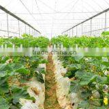 Cheap Tunnel Vegetable Greenhouse With Shading Screen thumbnail-5