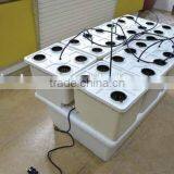 Dutch Bucket System thumbnail-3