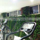 Artificial Green Wall for Gymnasium thumbnail-1